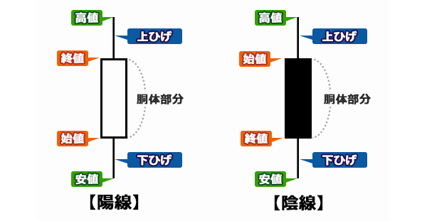 画像/ローソク足の基本