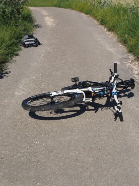 【画像】自転車保険