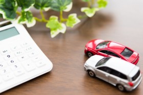 �y�摜�z�����ԕی��̑���