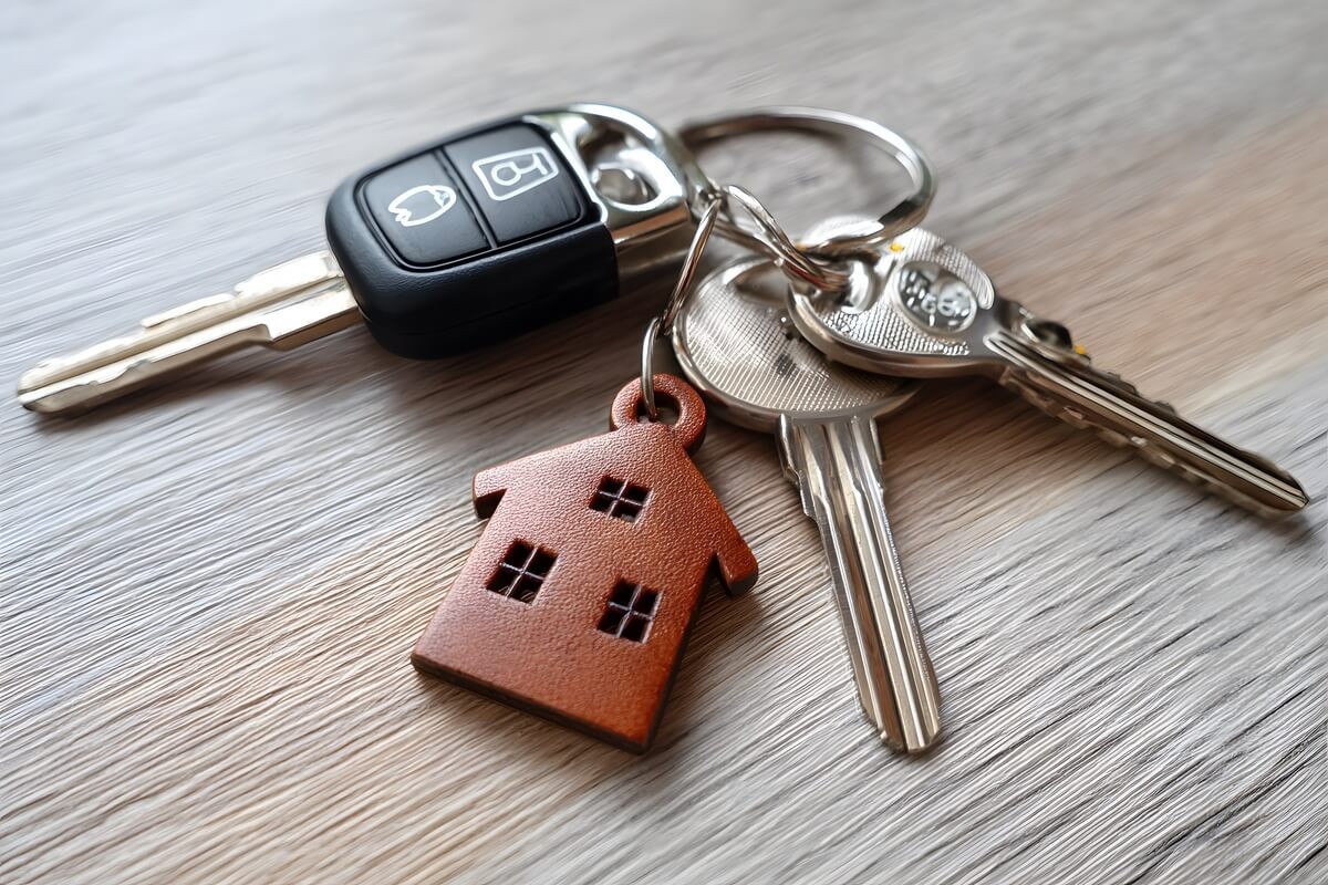 Ԃ̌ɕی͎gHԕی̓Kp͈͂ƃ[hT[rX