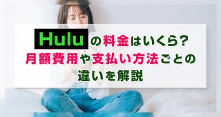 Hulu̗͂Hzpx@Ƃ̈Ⴂ