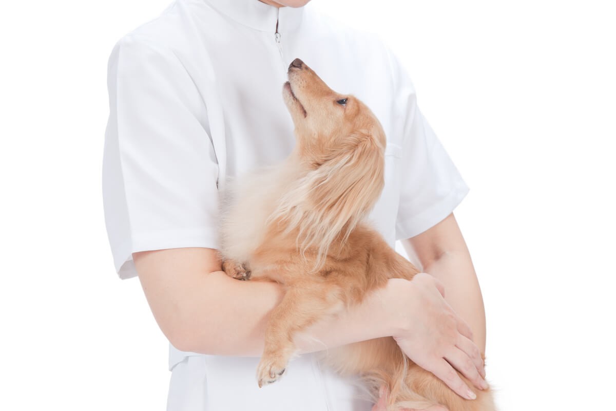 ̒ŊԔwjA̎Ȍ