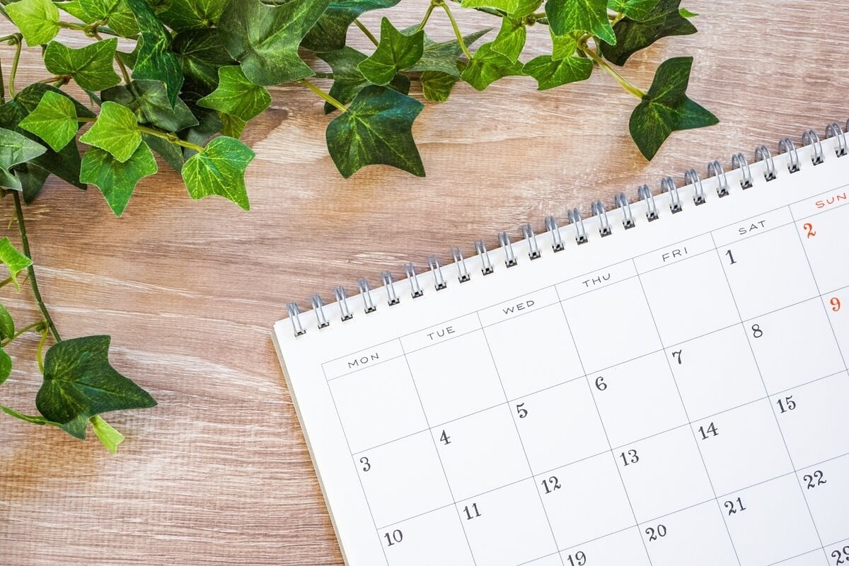 �����X�P�W���[��