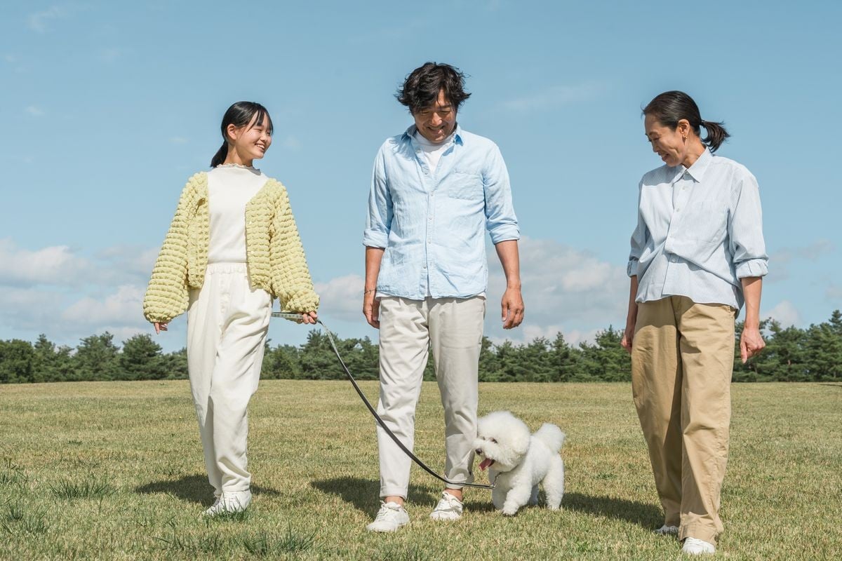 ペット保険で失敗・後悔しない！やめた理由や契約時に確認すべきポイントを紹介