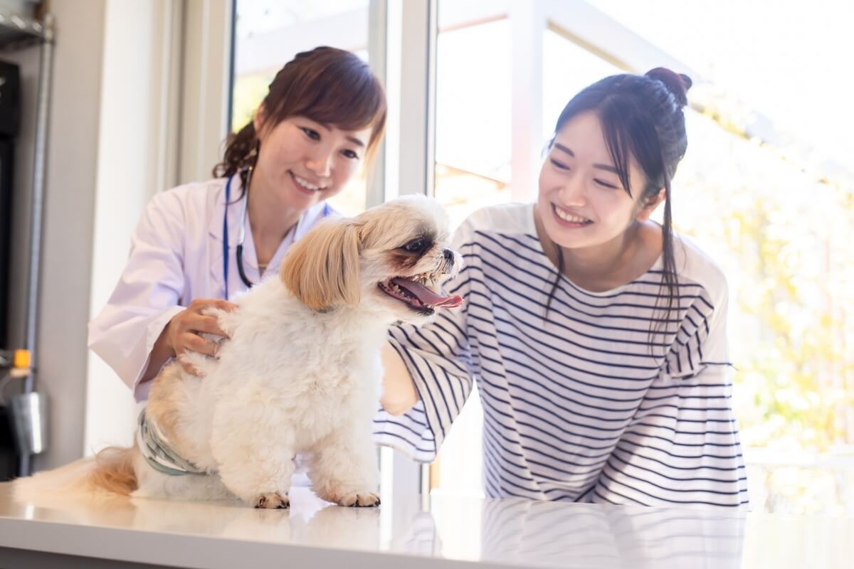 ̗܂₯̌́HłłPAƓa@ł̎