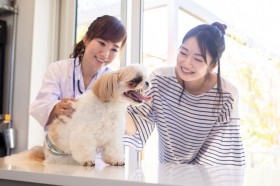 ̗܂₯̌́HłłPAƓa@ł̎