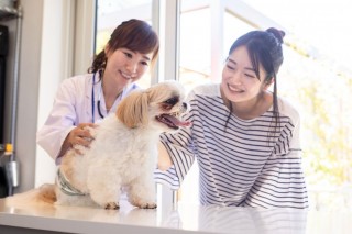 ̗܂₯̌́HłłPAƓa@ł̎