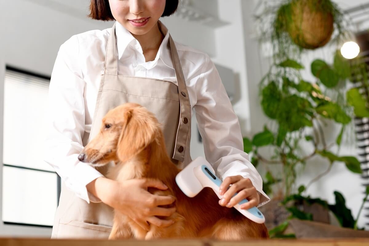 łłI̔畆Ɣт̌Nۂ߂̃PA@