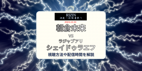 �yRIZIN�z���q����vs�V�F�C�h�D���G�t�̎������@�́H�z�M��E��...